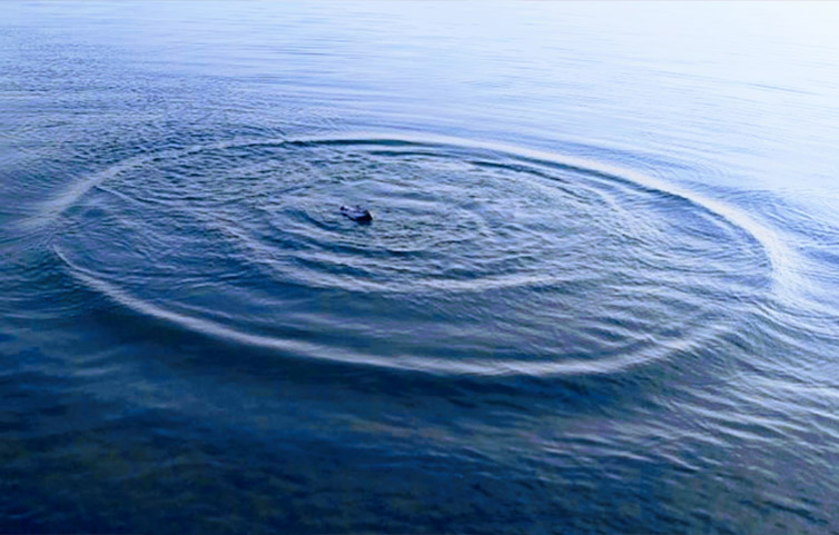 Symbolbild Kreise im Wasser